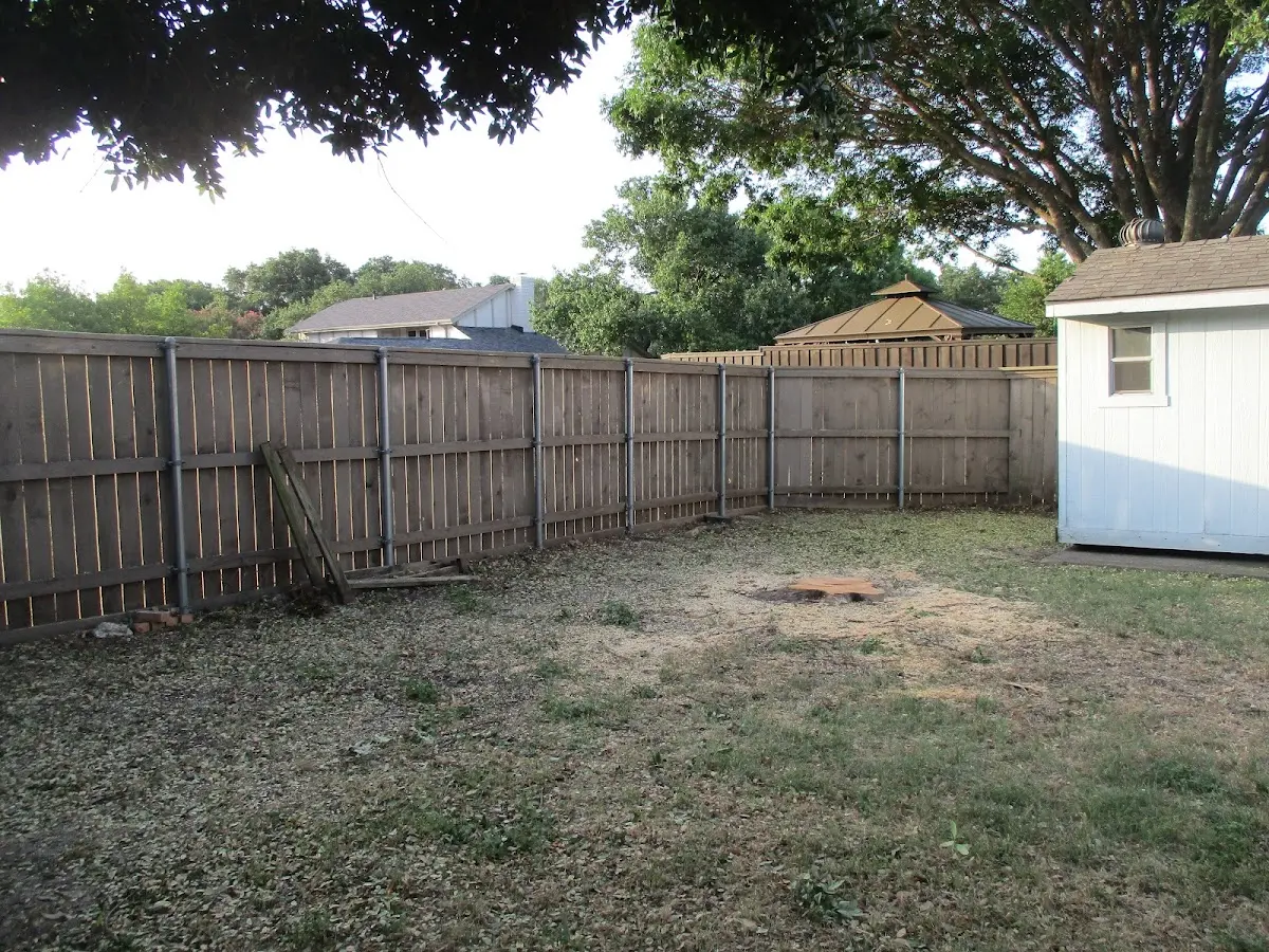 Cleared yard after professional tree removal in West Warwick